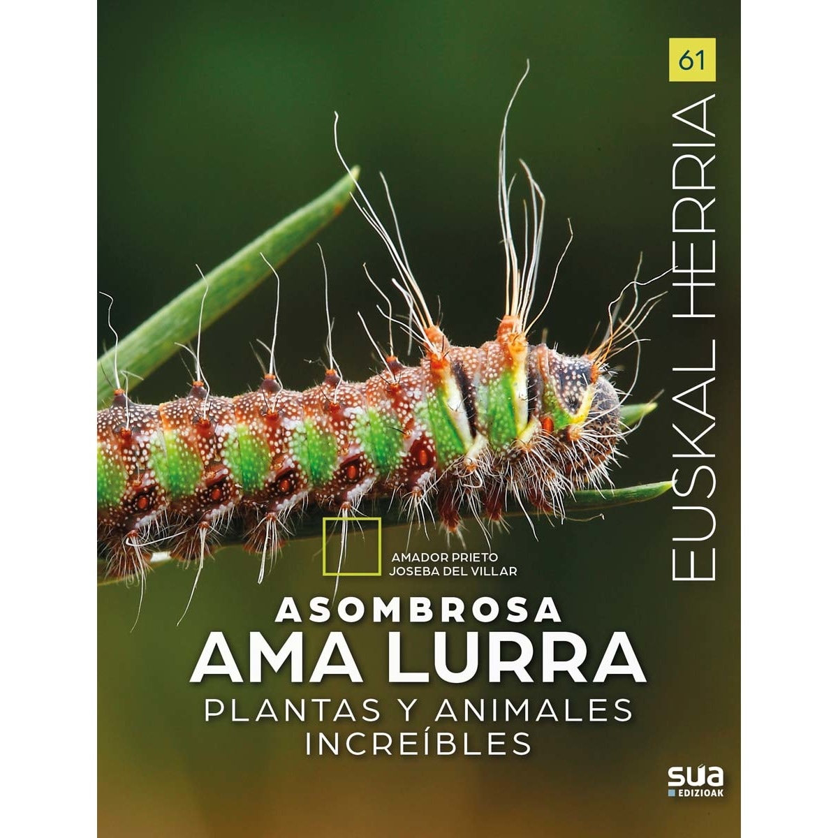 Imagem 0 de Asombrosa Ama Lurra (Capa mole)