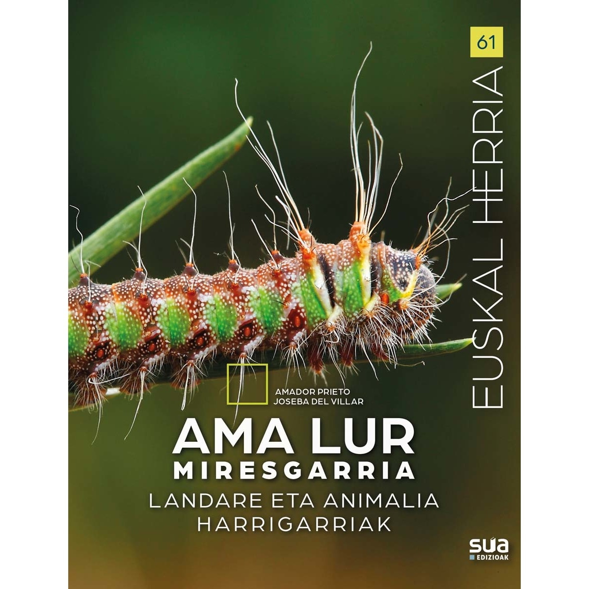 Imagem 0 de Ama lur miresgarria (Capa mole)