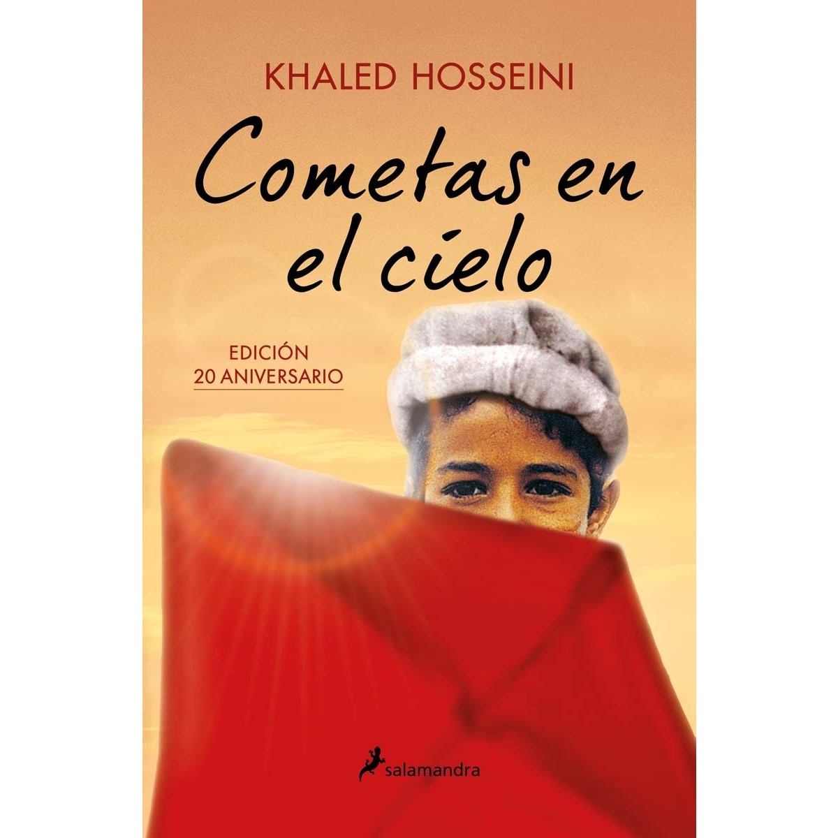 Imagem 0 de Cometas en el cielo (Capa mole)