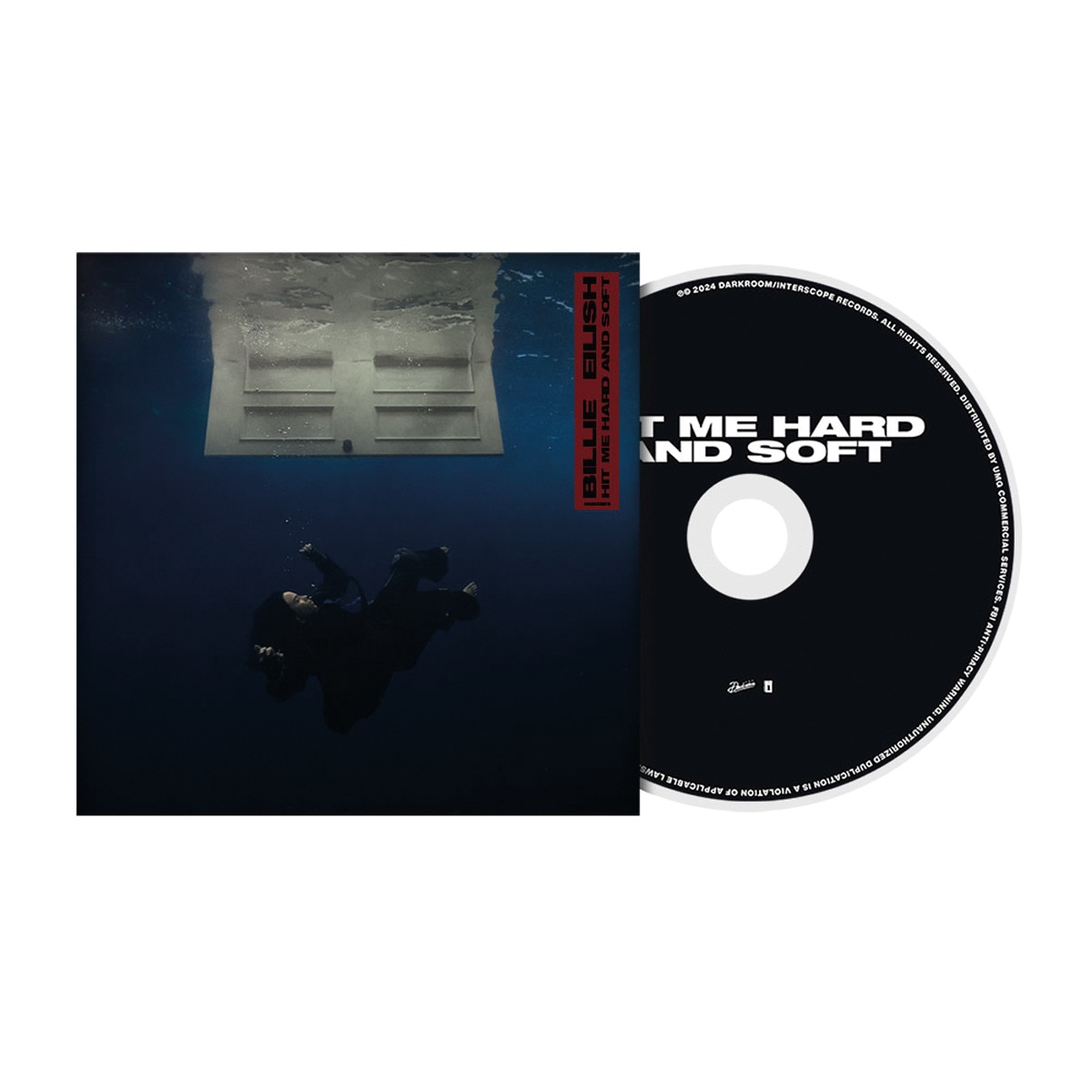 HIT ME HARD AND SOFT (CD) 2