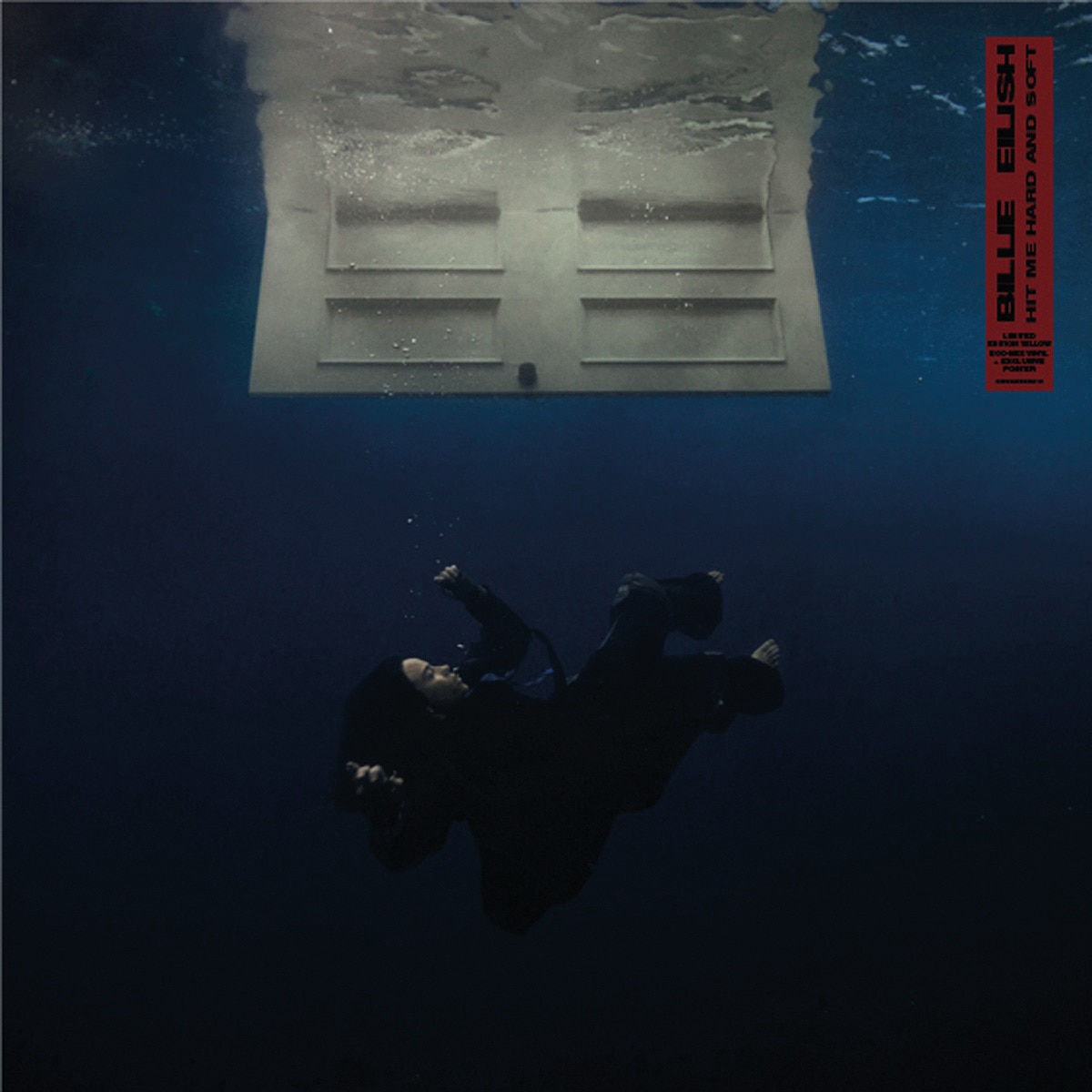 HIT ME HARD AND SOFT (CD) 1