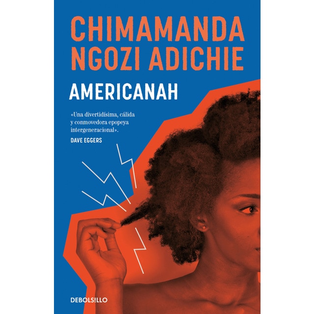 Imagem 0 de Americanah (Bolso)