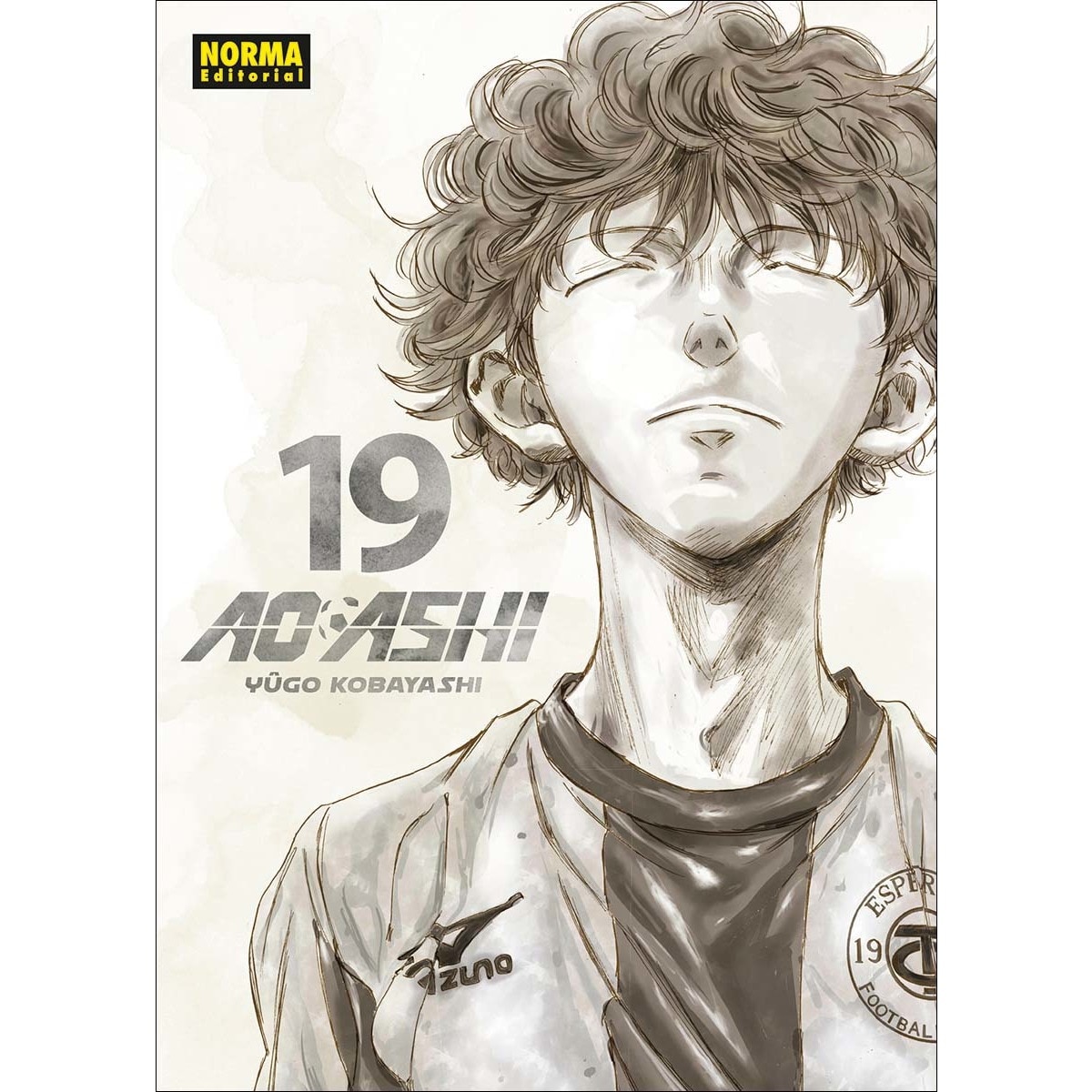 AO ASHI 19 1