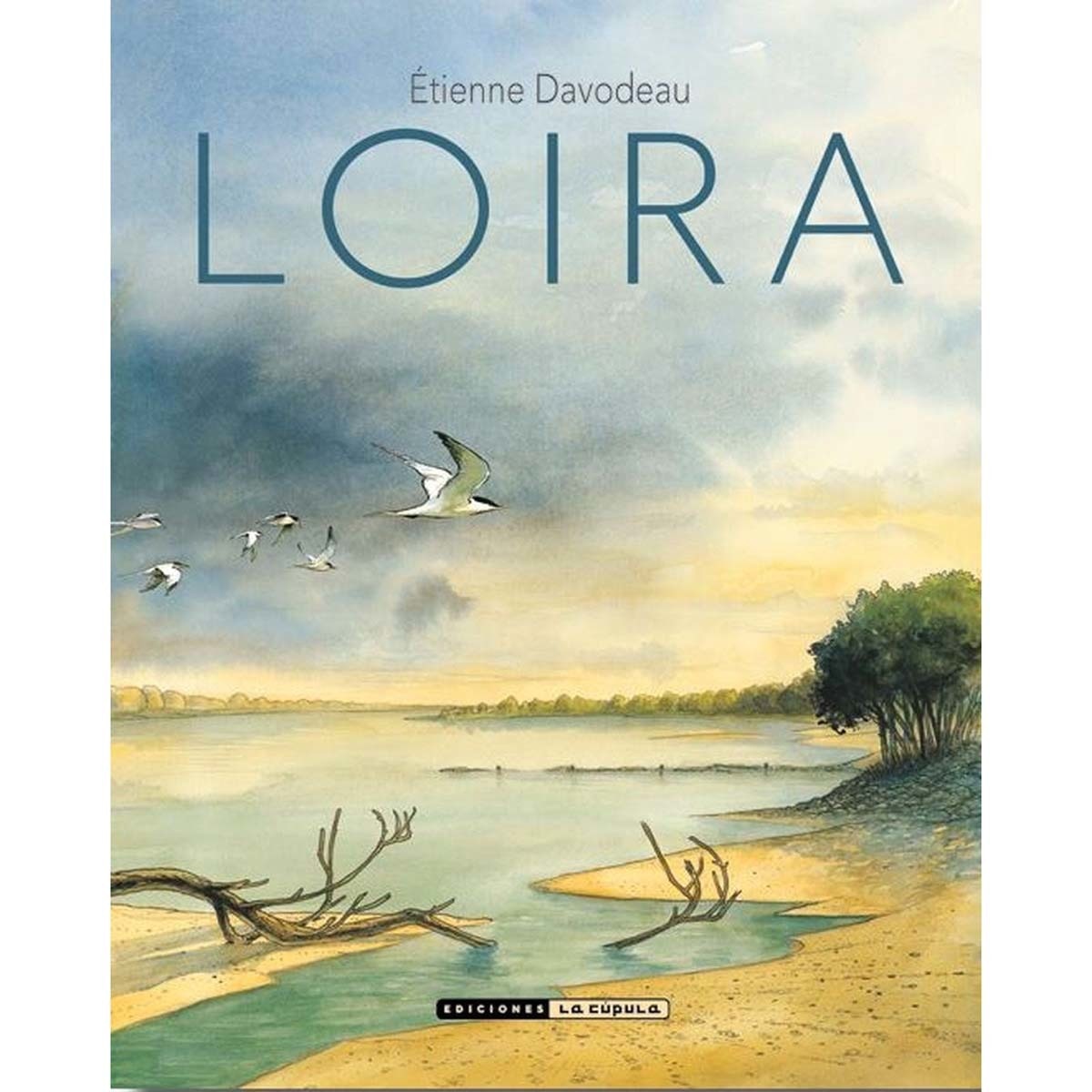 Loira (Capa mole) 1
