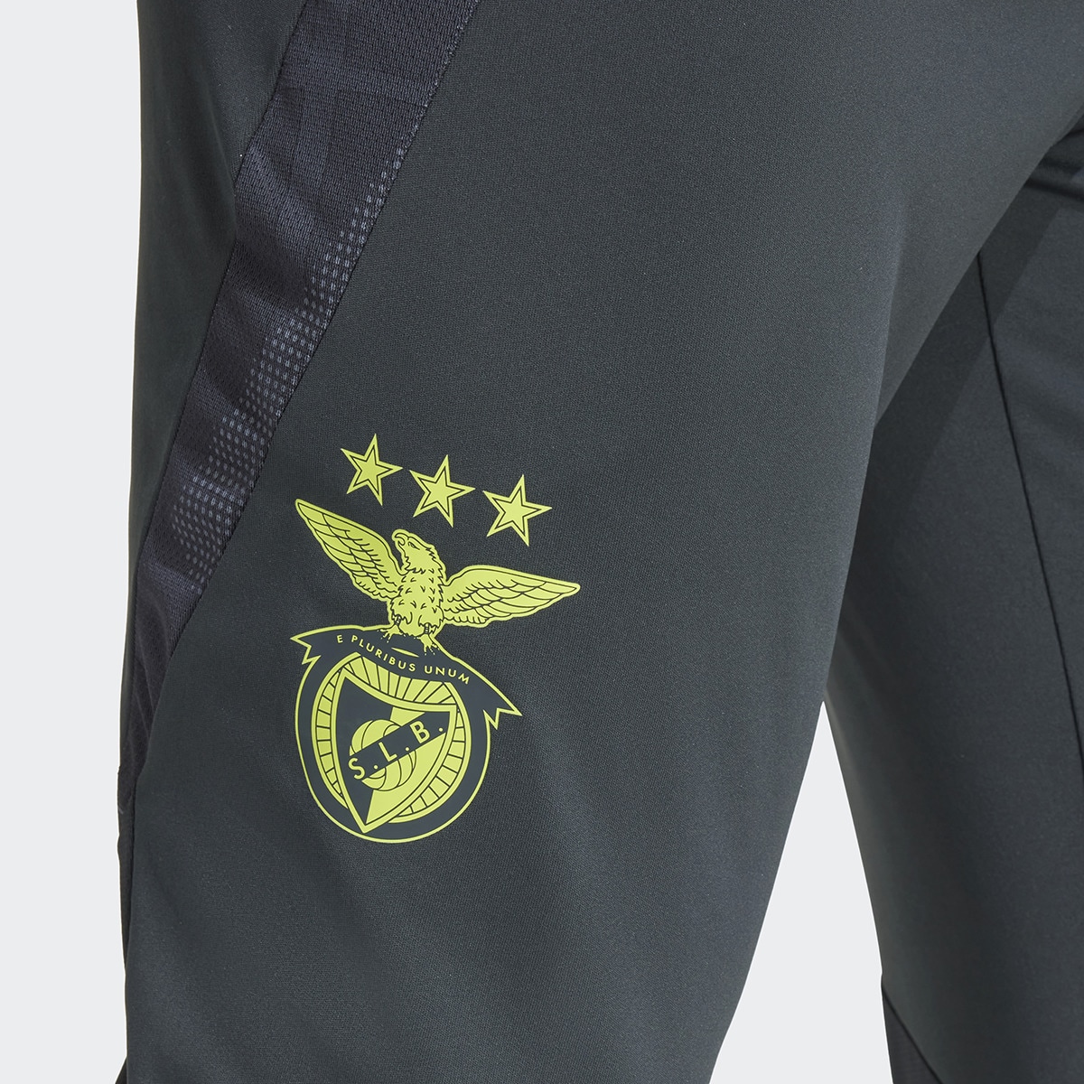 Calças de Homem SL Benfica 2024/2025 Tiro24 Training Pant Cinzento-4