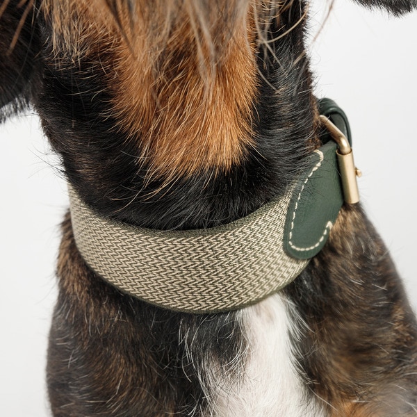James Green dog collar 4x26-32 cm 1 each