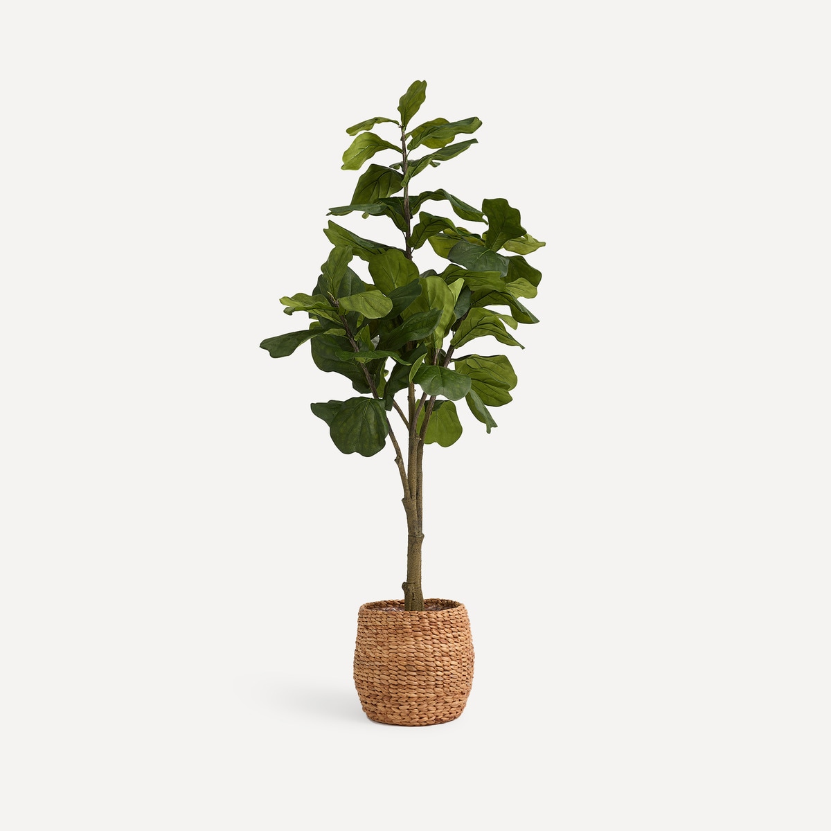 Árvore Artificial Ficus Lyrata - 180 cm Verde-4