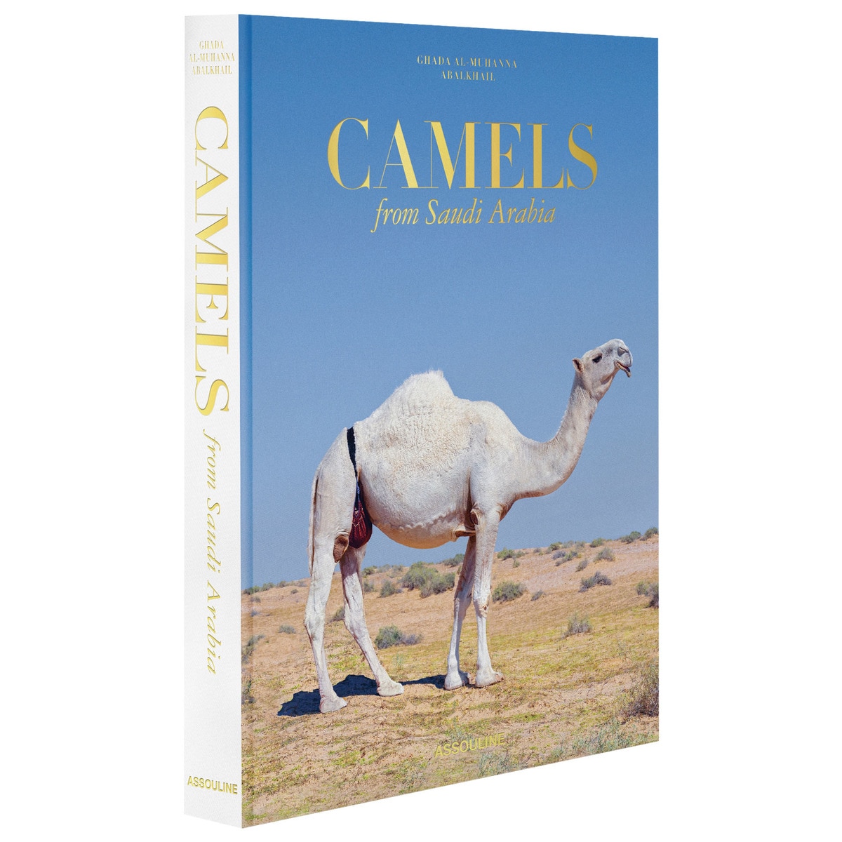 Camels from saudi arabia (classic) 1