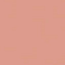 6B Brown Nude