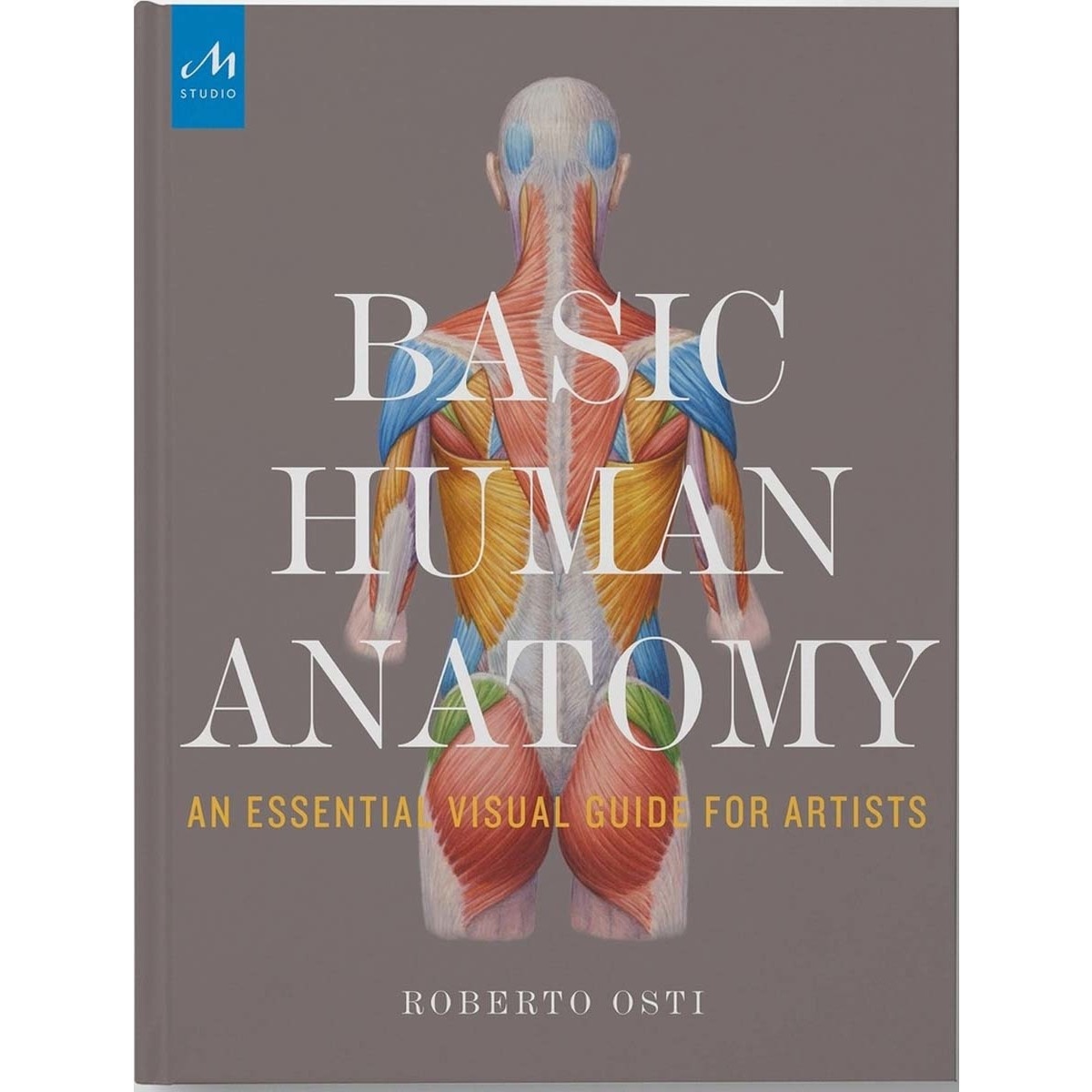 Imagem 0 de Basic human anatomy