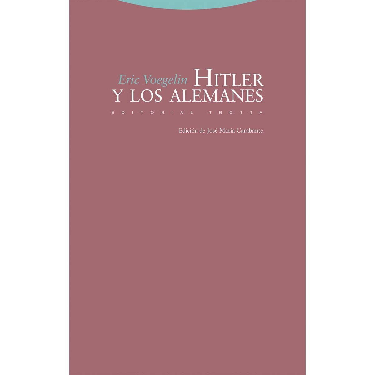 Hitler y los alemanes (Capa mole com abas) 1