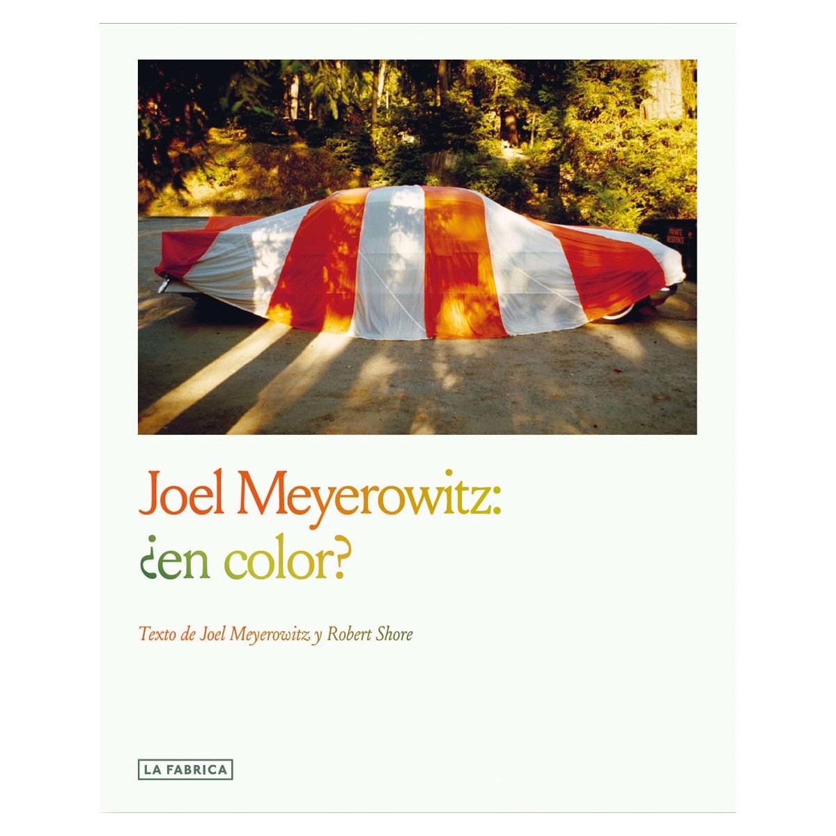 Imagem 0 de Joel Meyerowitz:¿en color?