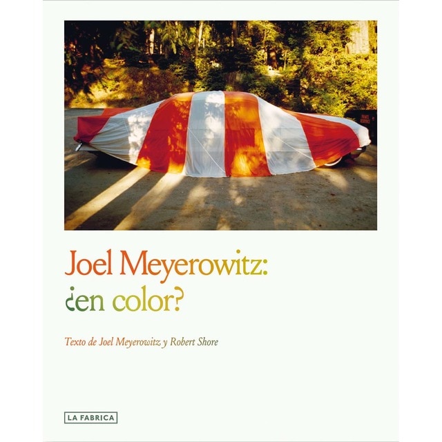Imagem 0 de Joel Meyerowitz:¿en color?