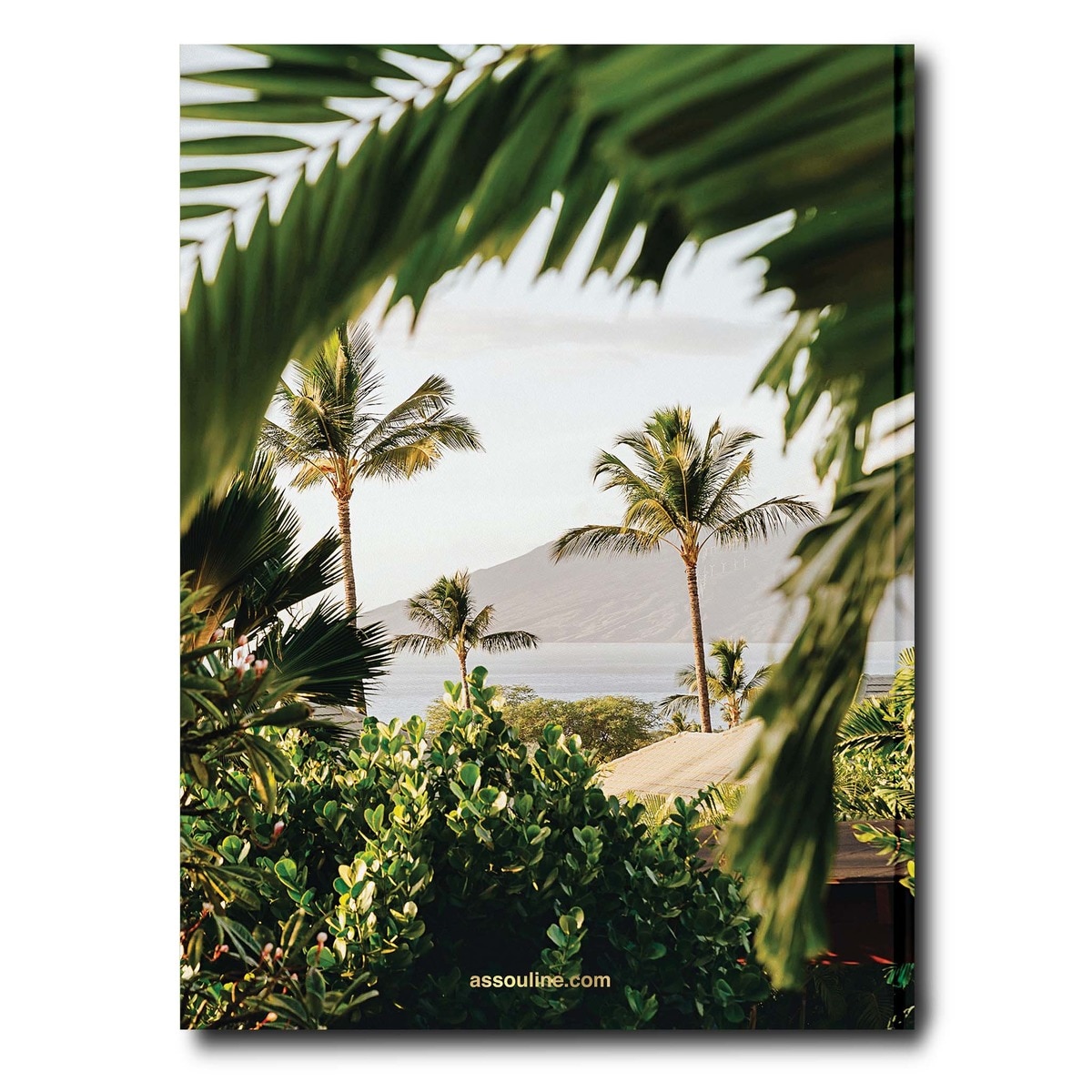 Hotel wailea 3