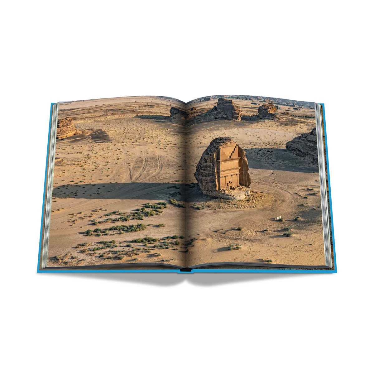 Alula (2nd edition) 13