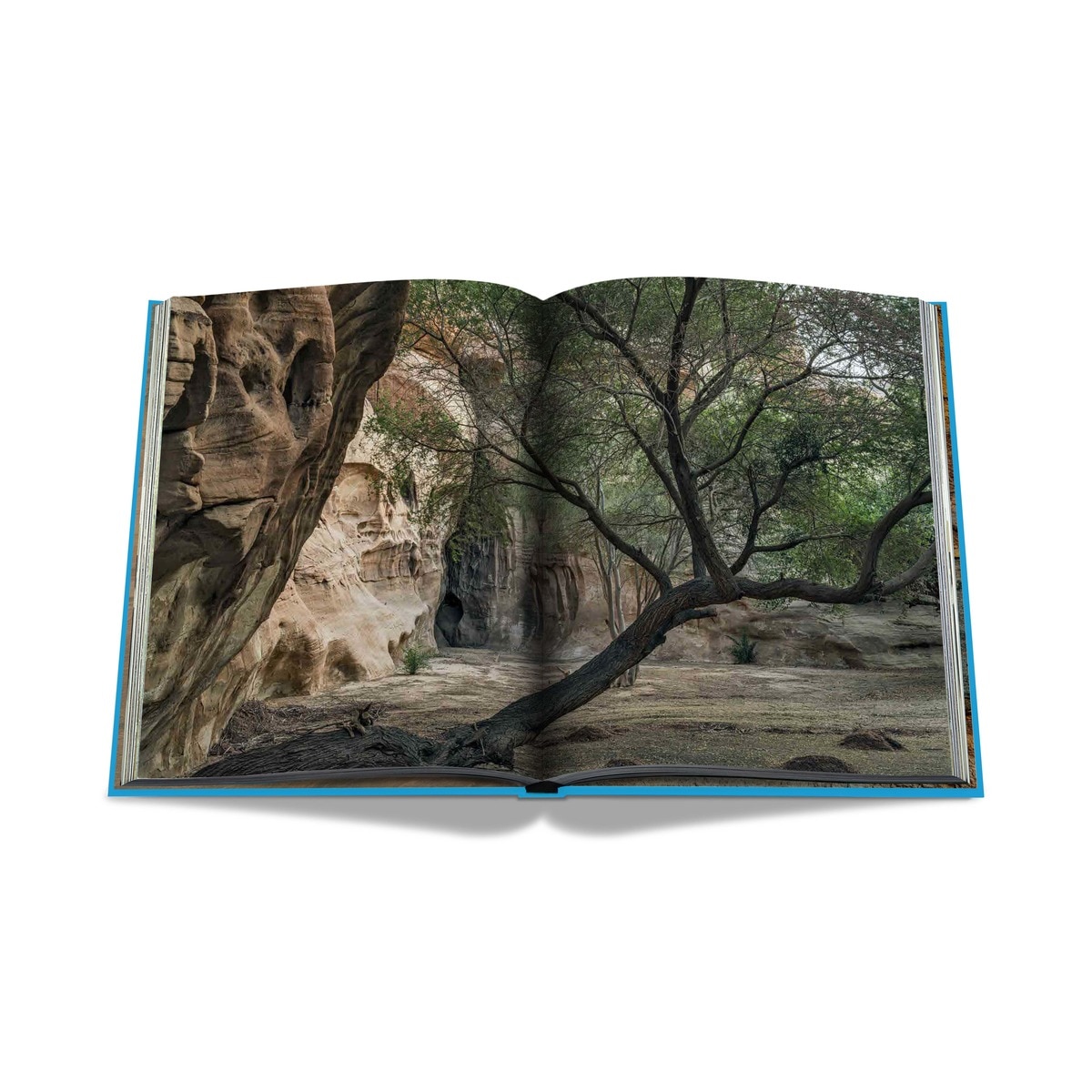 Alula (2nd edition) 7