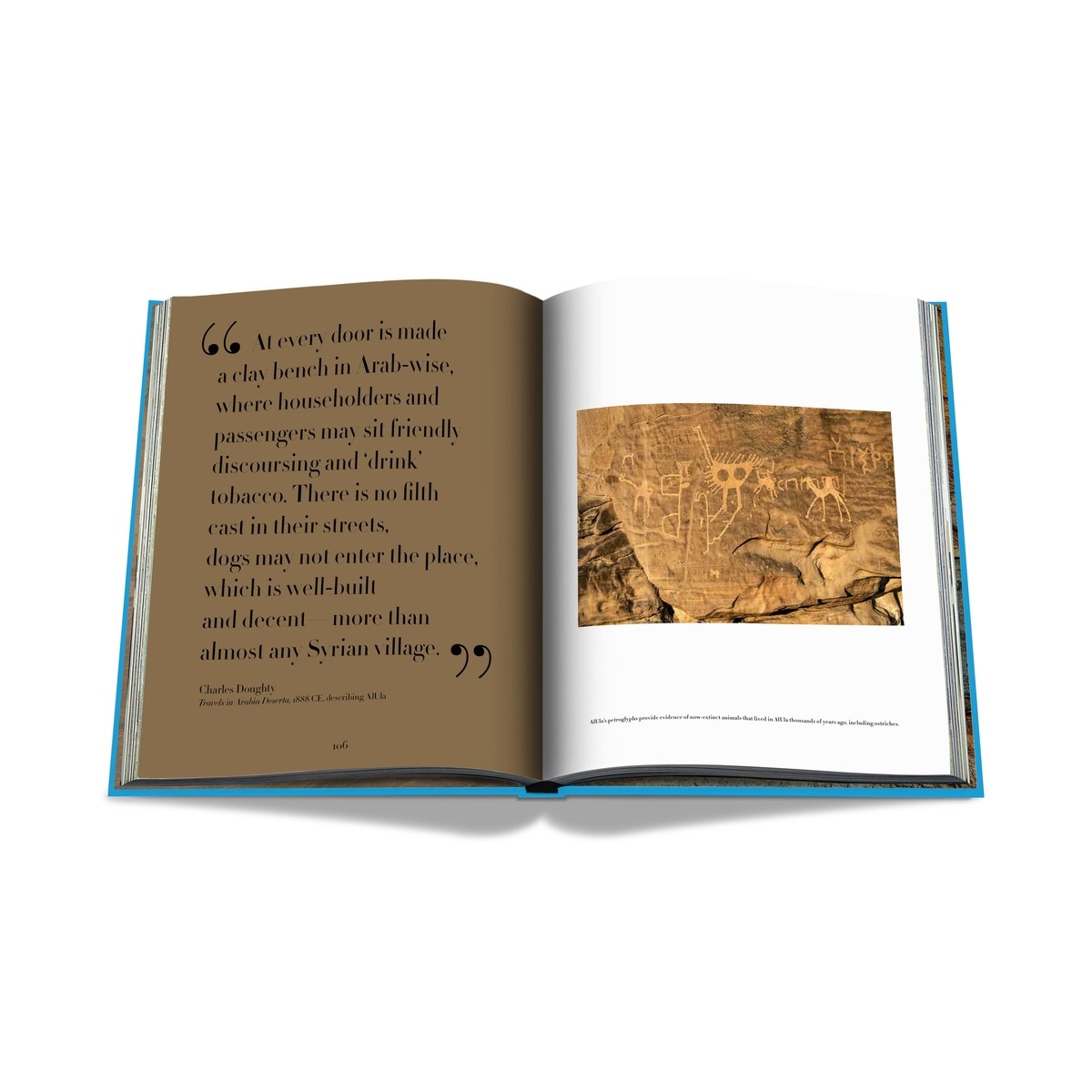 Alula (2nd edition) 8