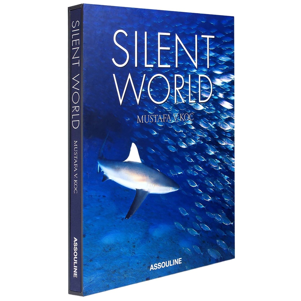 Silent World 1