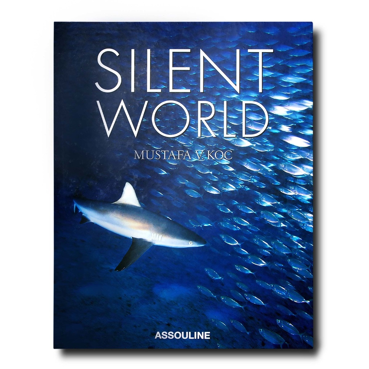Silent World 2