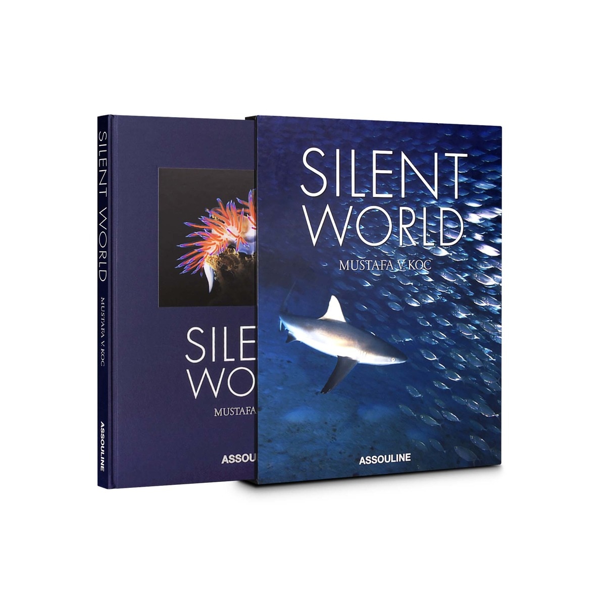Silent World 4