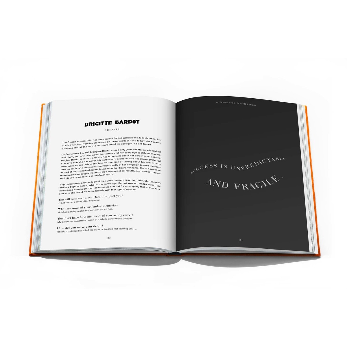 Alain Elkann Interviews 12