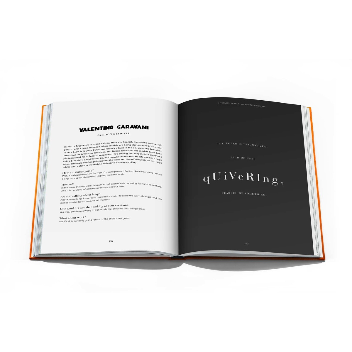 Alain Elkann Interviews 4