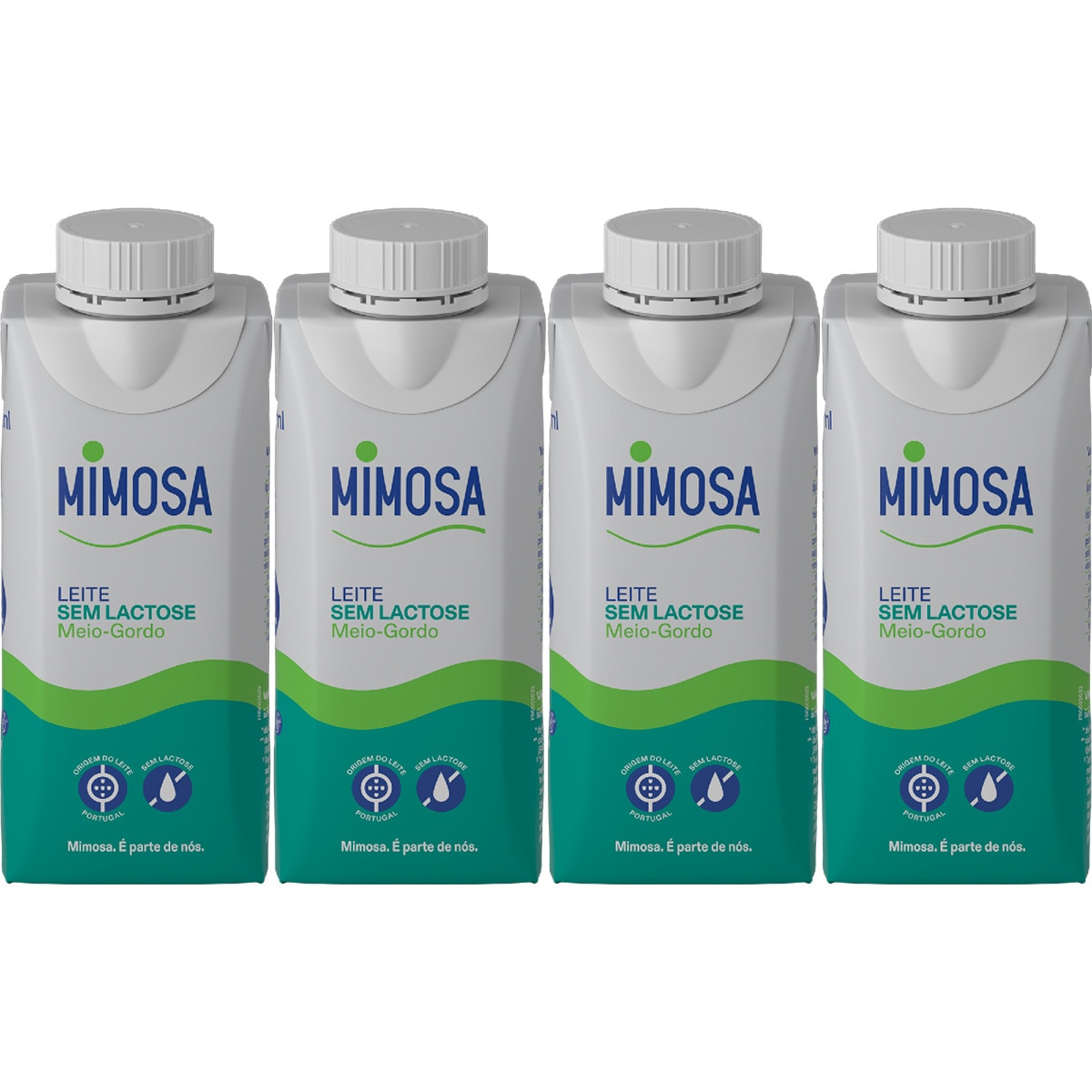 Leite sem Lactose Maio gordo Pack 4 embalagem 200 ml