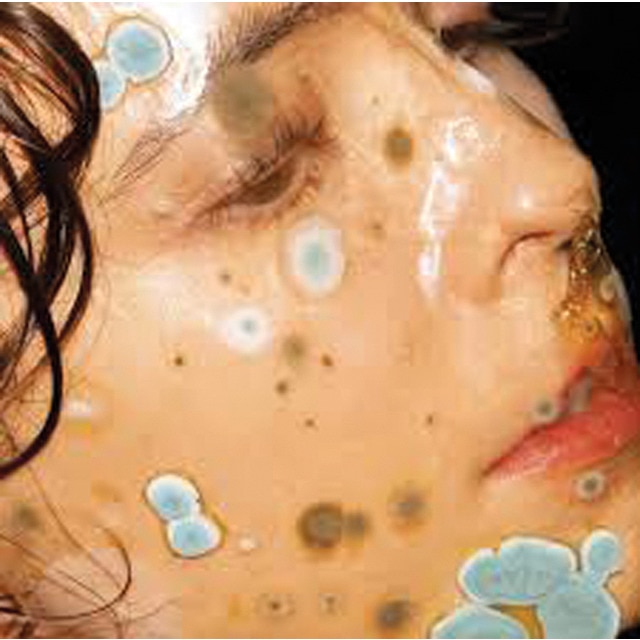 Imagen 0 de Spine (CD)