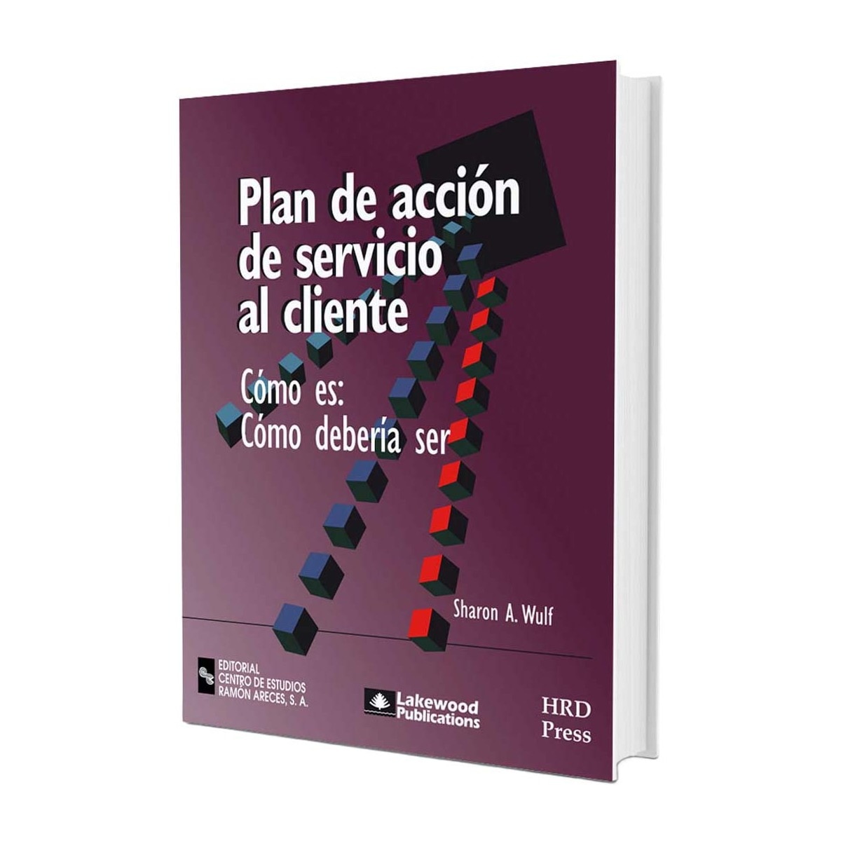 Plan de acción de servicio al cliente: Cómo es: Cómo debe ser 1