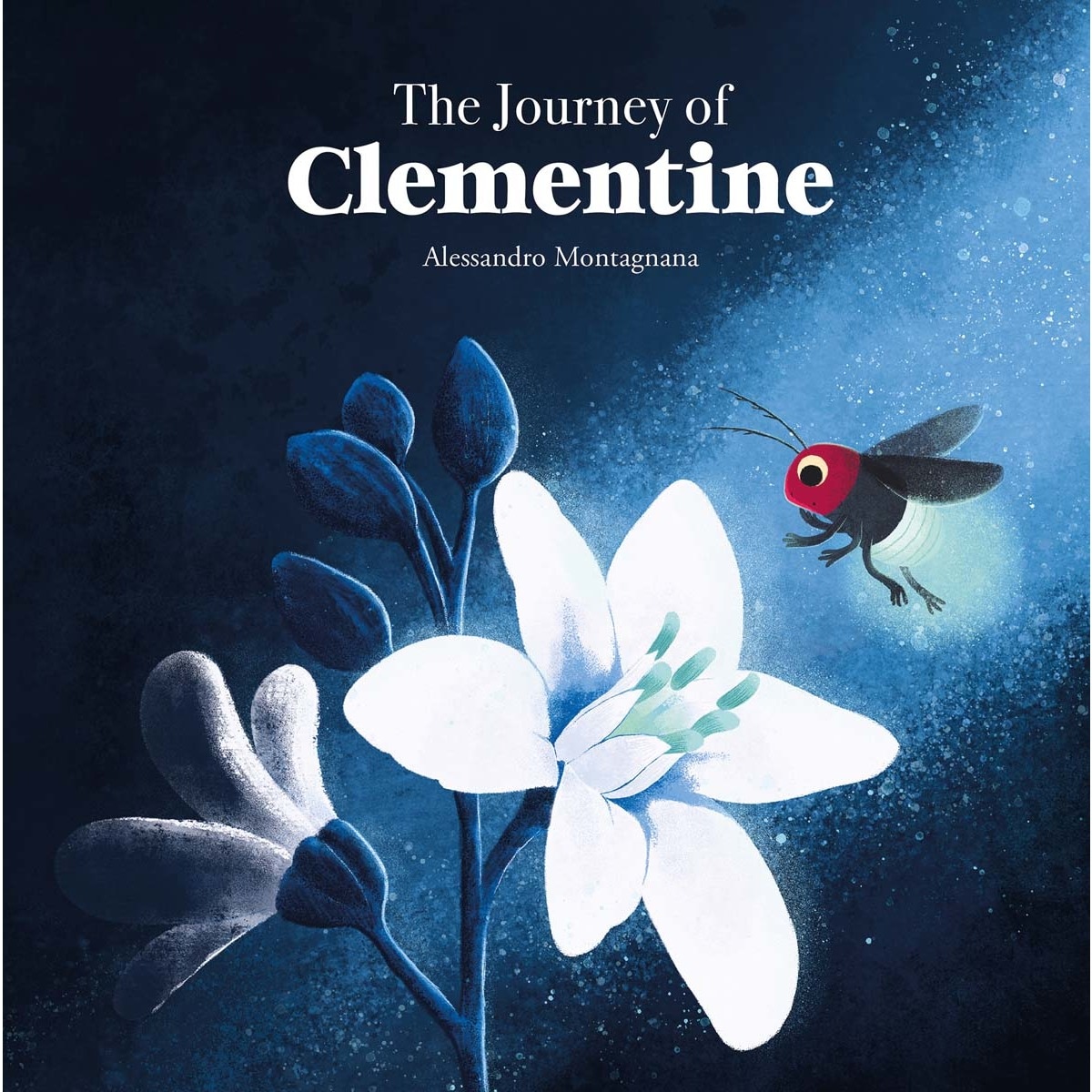 Imagem 0 de The Journey of Clementine (Capa dura)