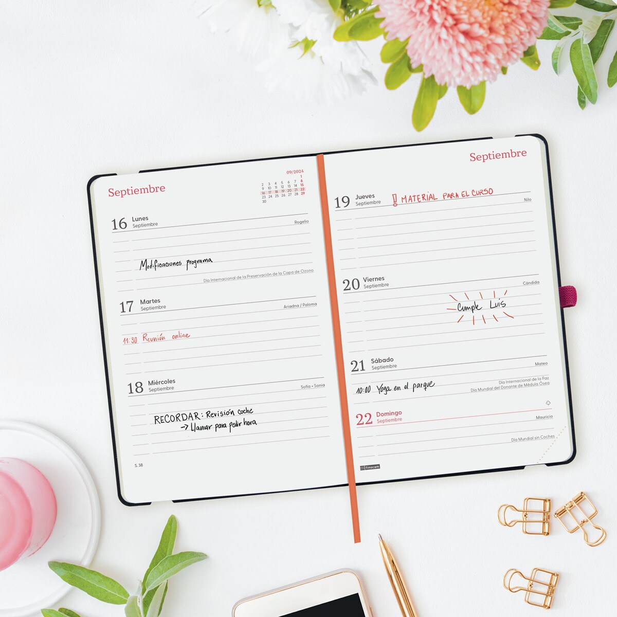 Finocam - Agenda 2024 Cloe 1 Día Página Enero 2024 - Diciembre 2024 (12 Meses) Verde Español