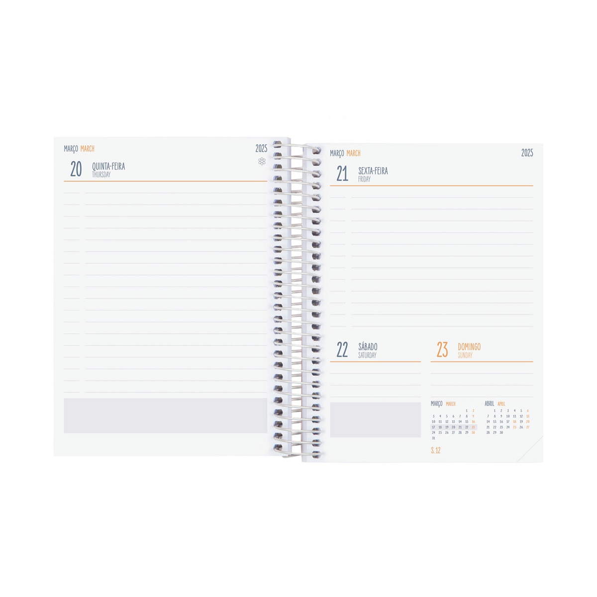 Agenda Escolar 2024-2025 Gamma 1/8 1 Dia por Página Selva Português Multilingue - 120x164 mm Multicolor-4