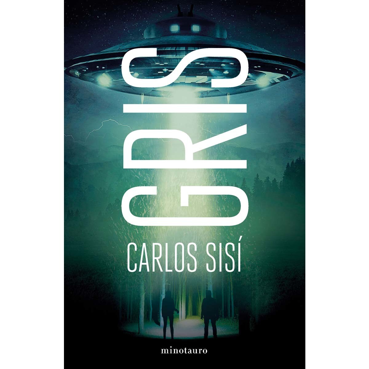 Gris (Capa mole com abas) 1