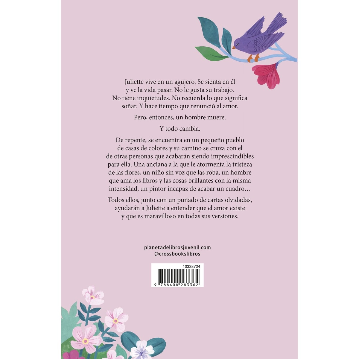 Juliette y las canciones perdidas (Capa mole com abas) 2