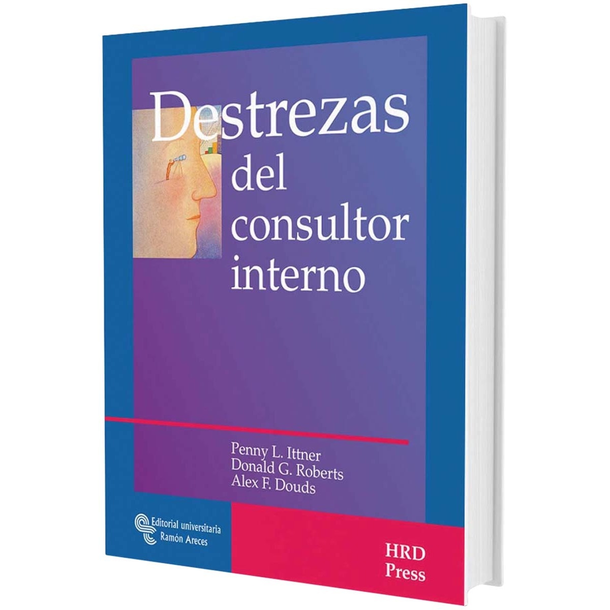 Destrezas del consultor interno 1