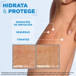 Stärkende Körpercreme Ceramide Protect mit Glycerin, Squalan und Ceramid Schale 400 ml Für sehr trockene Haut