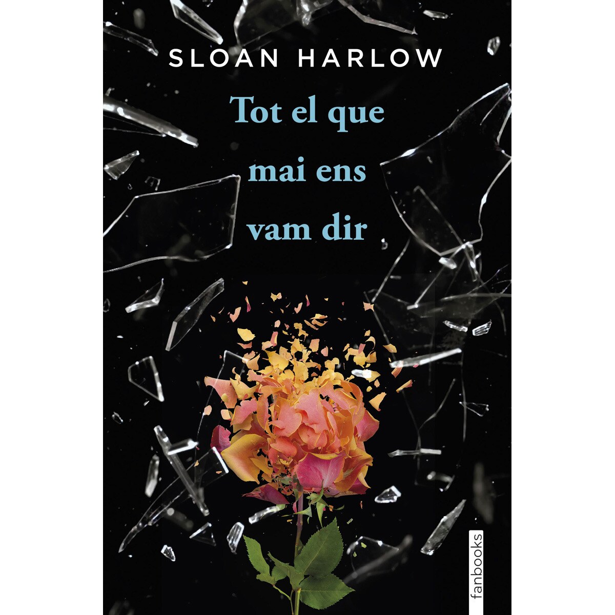 Tot el que mai ens vam dir (Capa mole com abas) 1