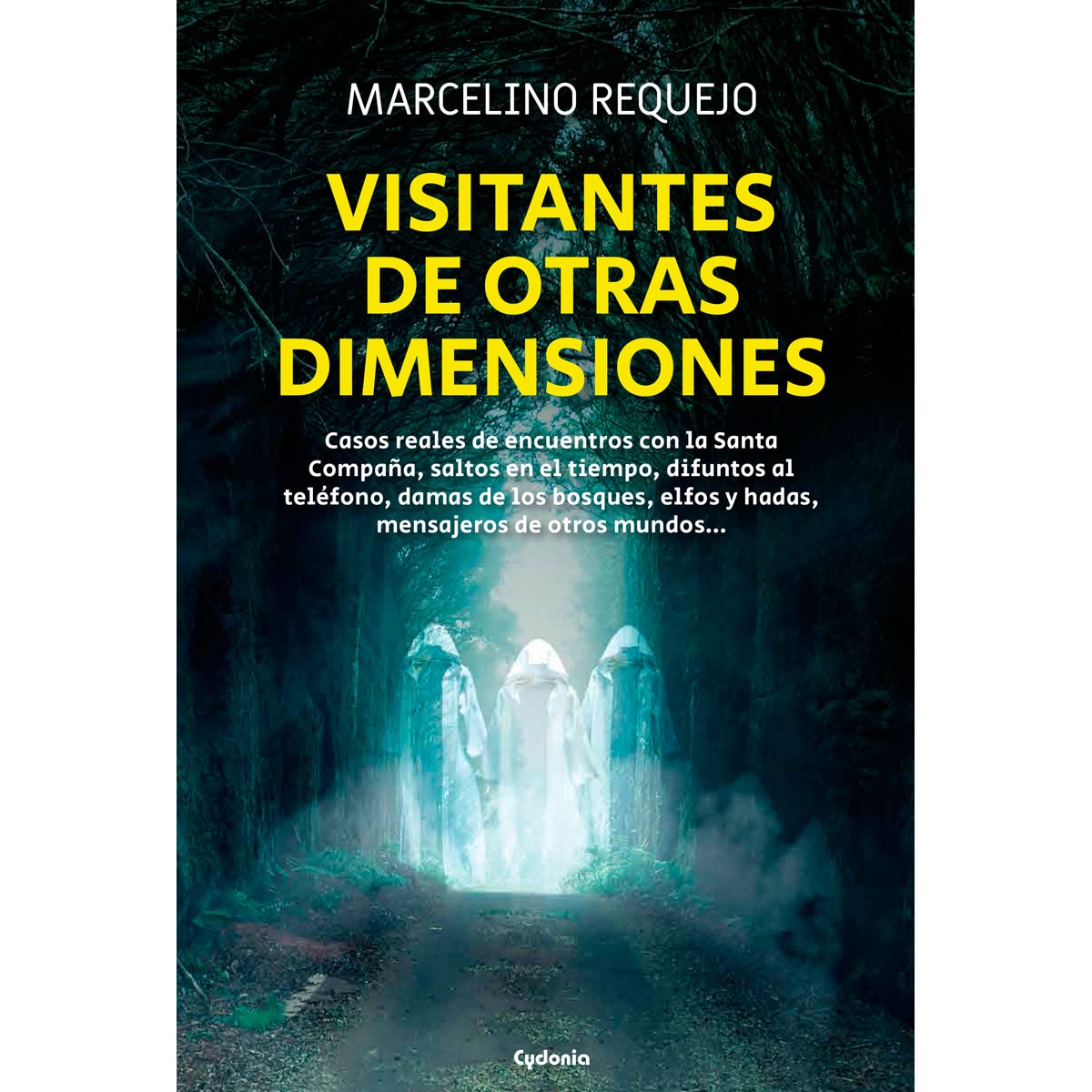 Imagem 0 de Visitantes de otras dimensiones: Casos reales de encuentros con la Santa Compaña, saltos en el tiempo, difuntos al teléfono, dam (Capa mole com abas)