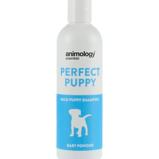 Champô para Cão Perfect Puppy Talco embalagem 250 ml - Animology