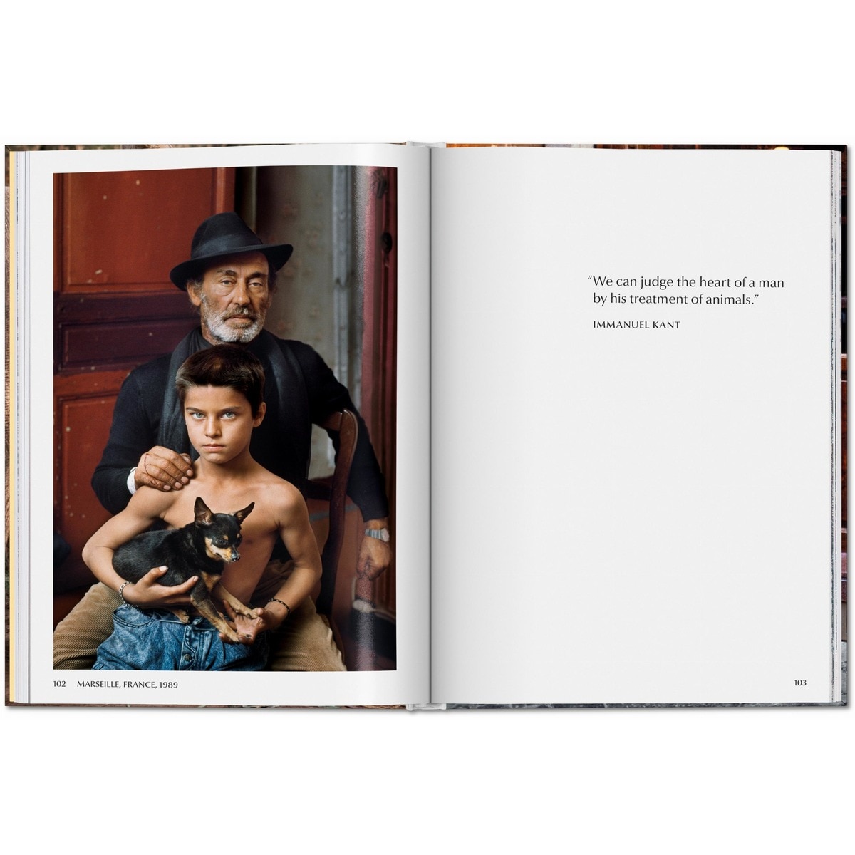 Steve McCurry. Animals (Capa dura) 7