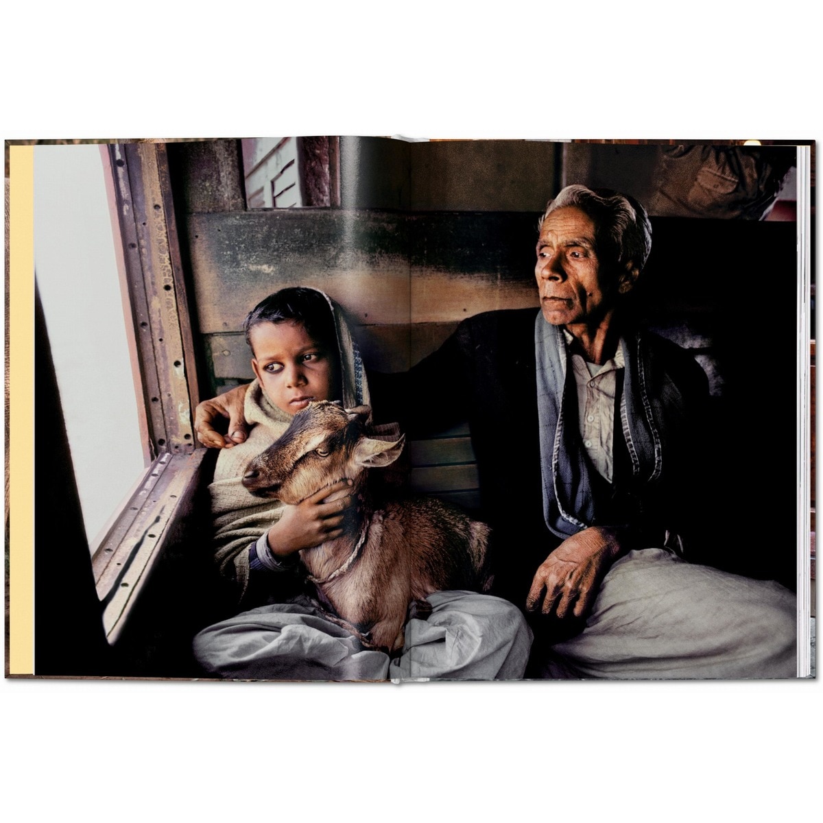 Steve McCurry. Animals (Capa dura) 2
