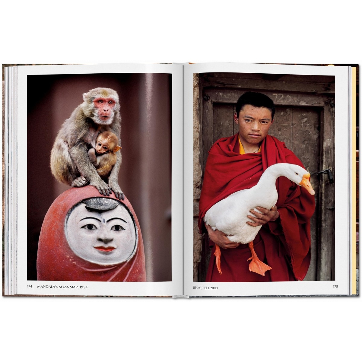 Steve McCurry. Animals (Capa dura) 3
