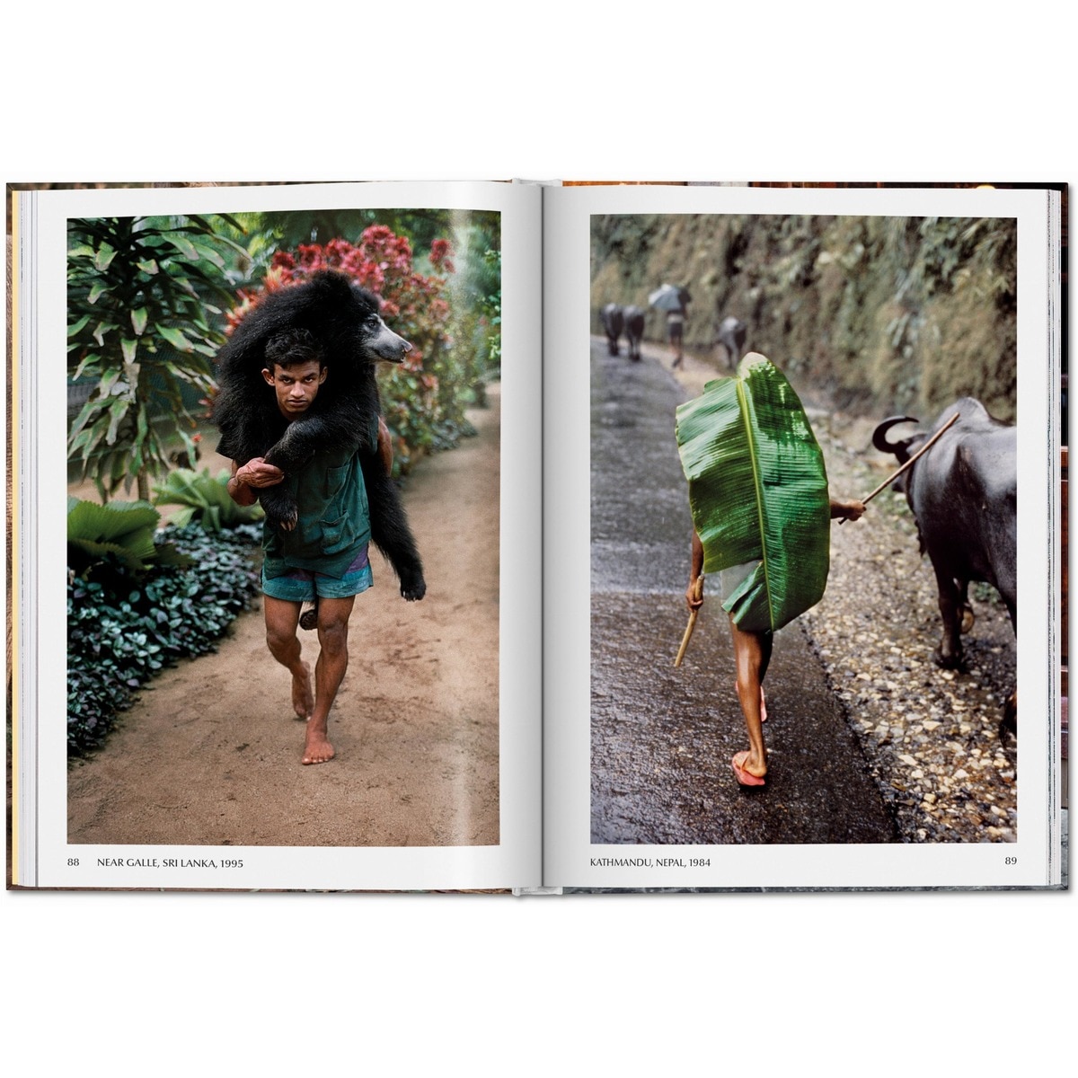 Steve McCurry. Animals (Capa dura) 4