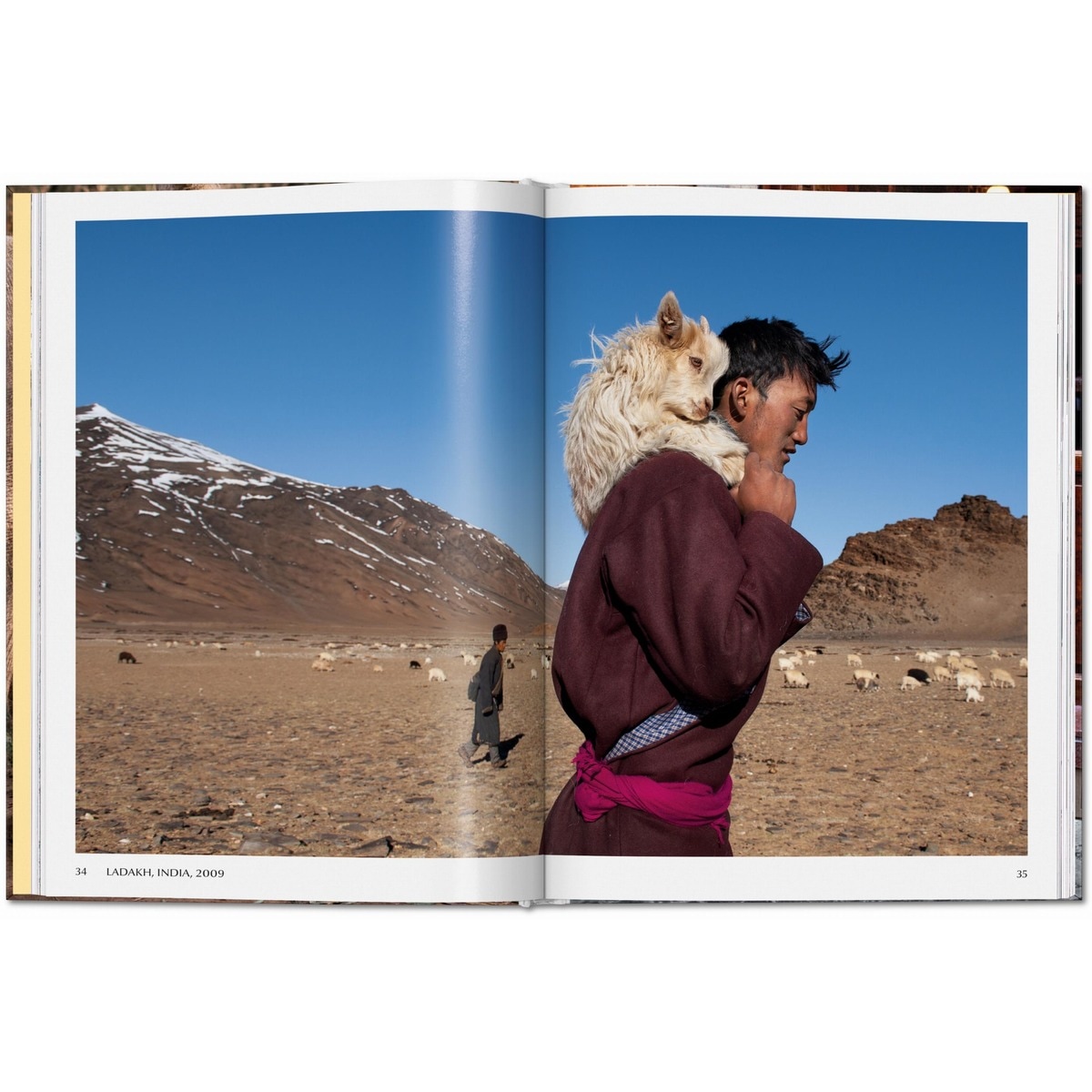 Steve McCurry. Animals (Capa dura) 5