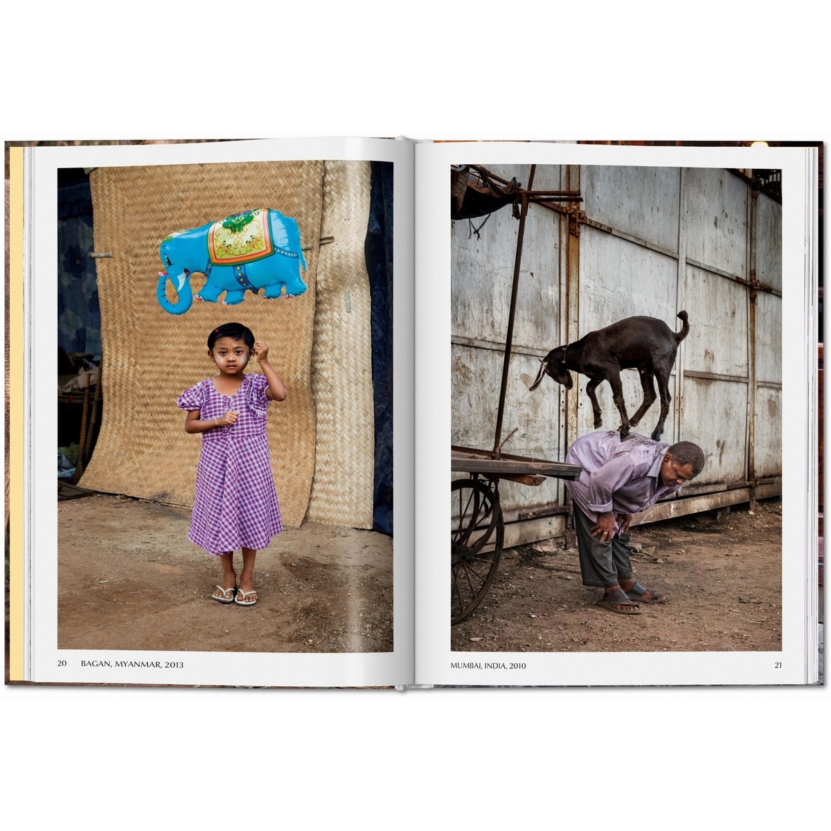 Steve McCurry. Animals (Capa dura) 6