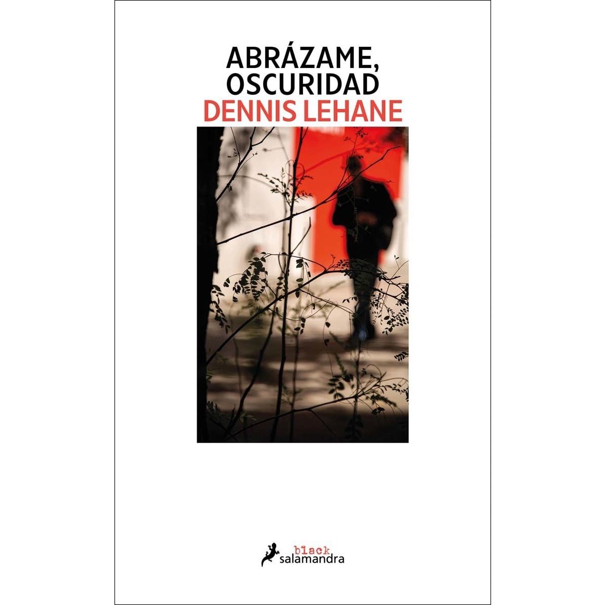 Imagem 0 de Abrázame, oscuridad (Kenzie y Gennaro 2) (Capa mole)