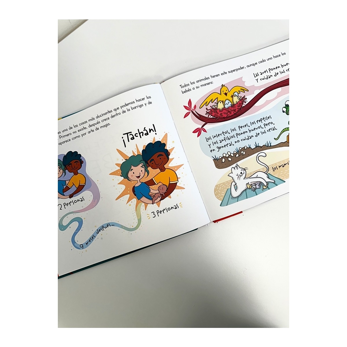 ¡Así se hace un bebé! (mini Menstruita): Mi primer libro de educación sexual  (Tapa dura) 8