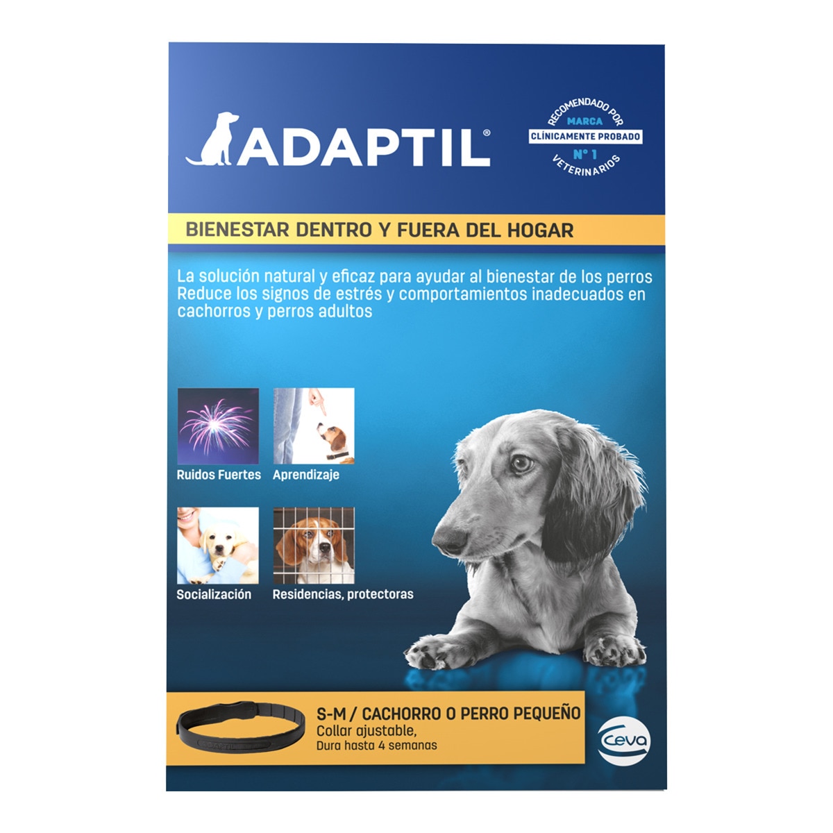 Imagen 0 de Collar antiestresante para perros cachorros y pequeños Adaptil