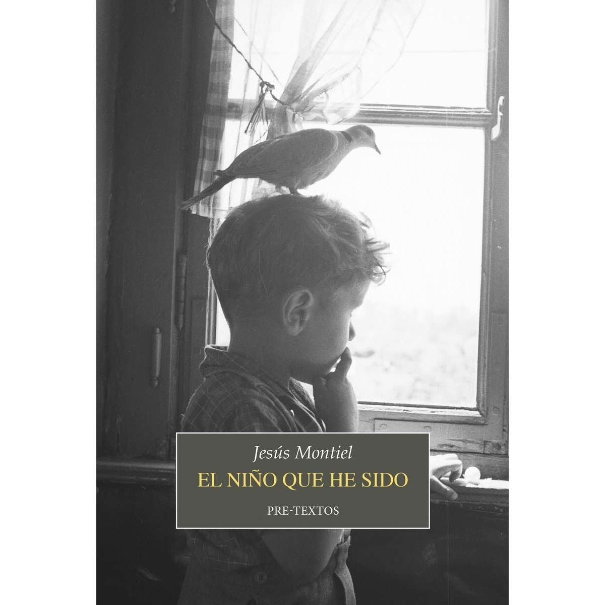 El niño que he sido (Capa mole com abas) 1