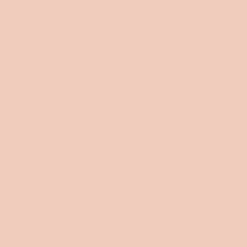 Rose 01